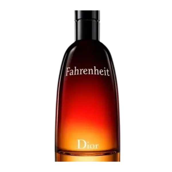 fahrenheit dior 1
