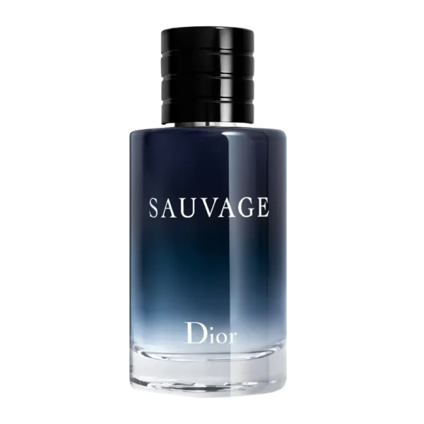 sauvage parfum dior 1